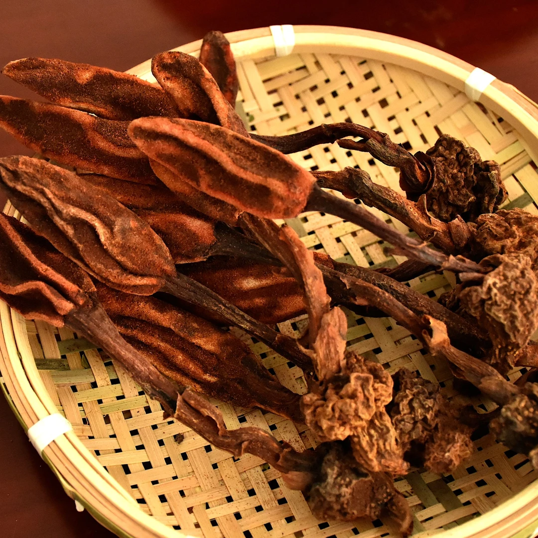 【土特产回】蠢草 蛇菰菌 文王一支笔 天然健康美味