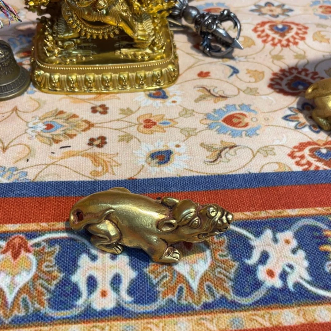 用***5我们都要好好努力加油