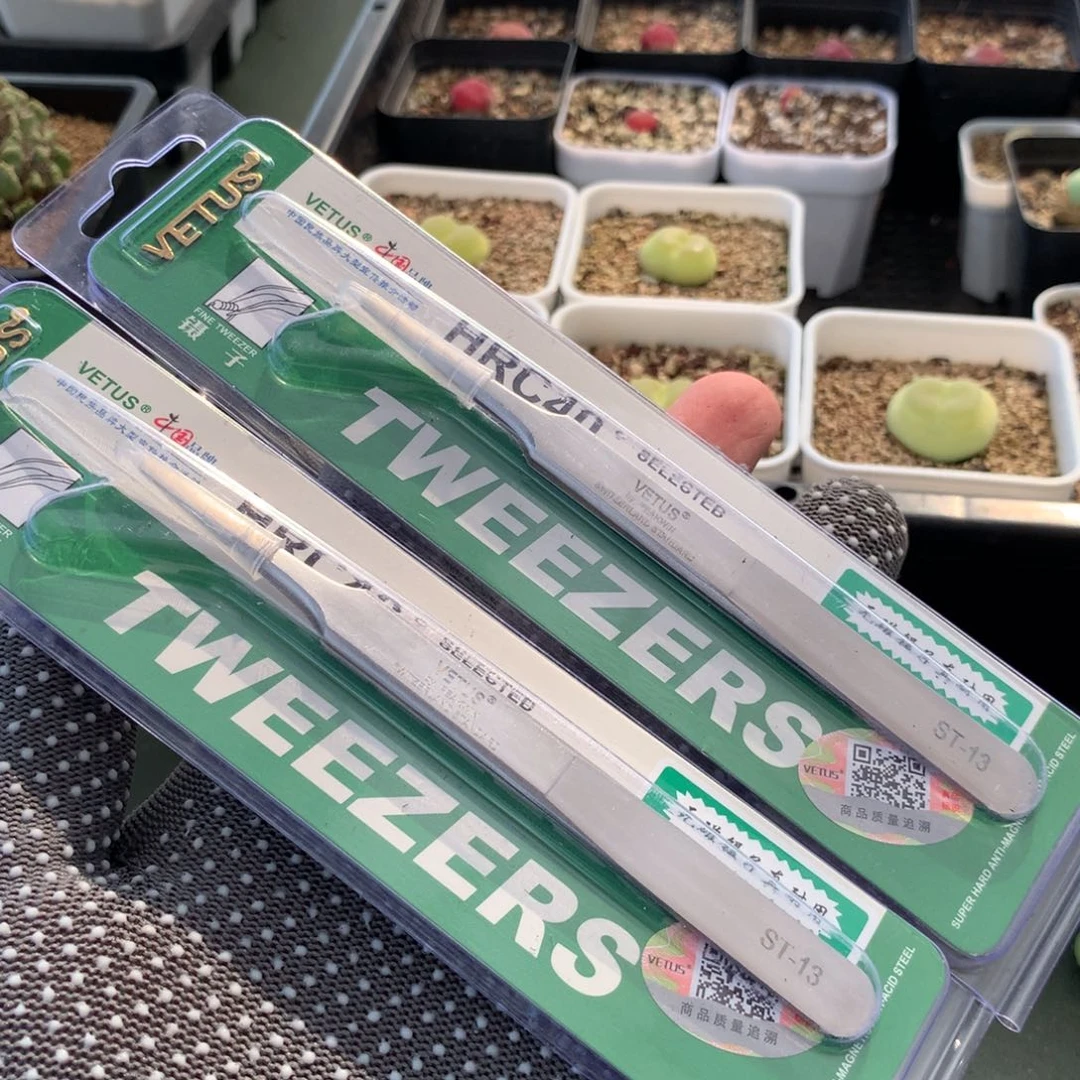 镊子一支 20包邮