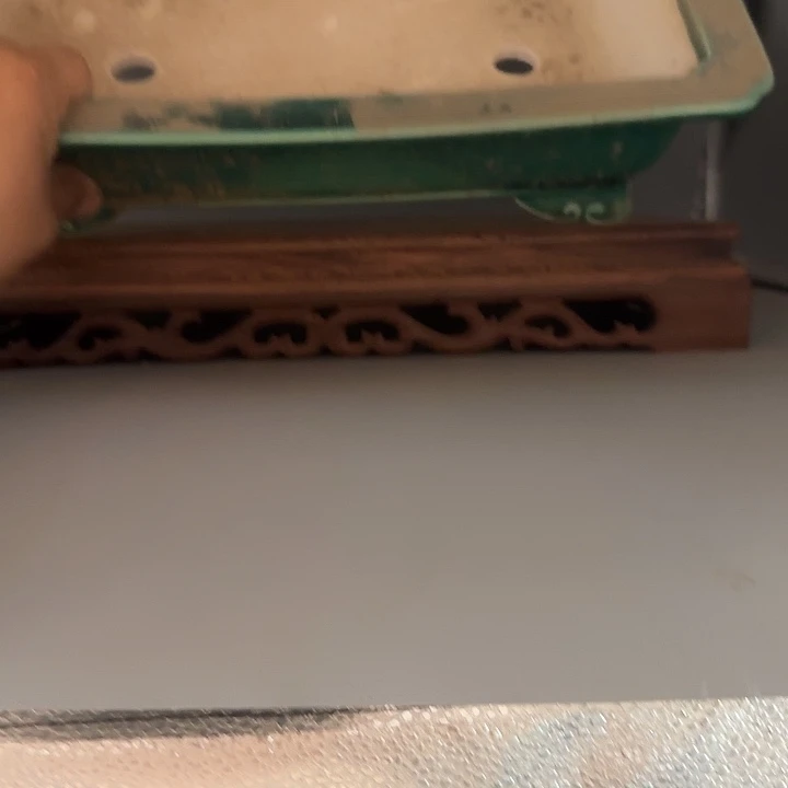 不知道是谁在看这本小说