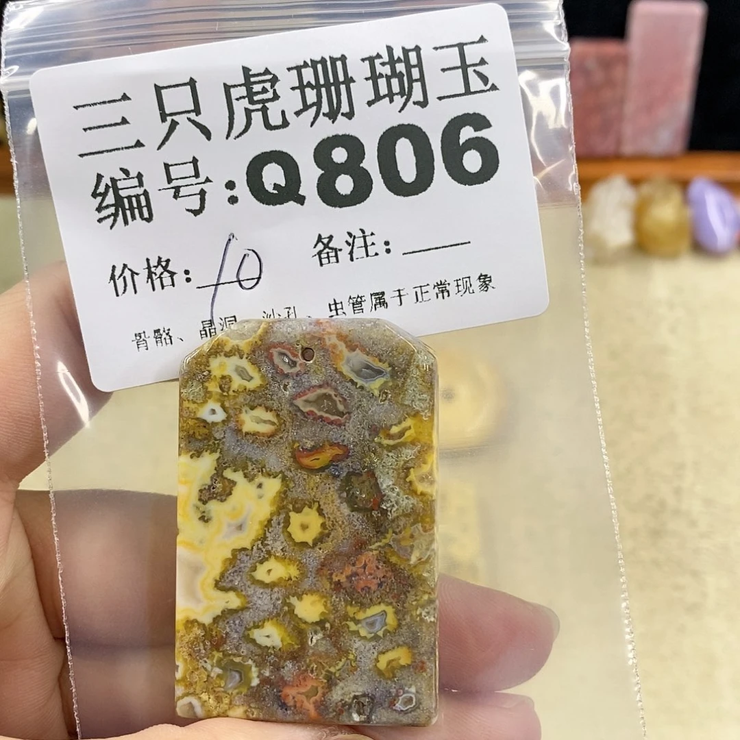 硅化珊瑚（珊瑚玉）1未镶嵌子*