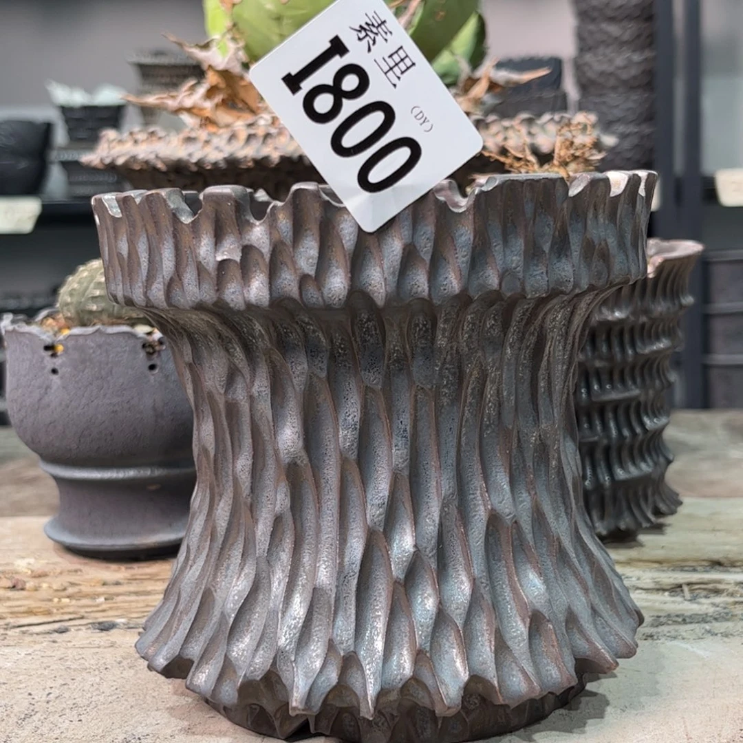 陶内口12.5高12.5景德镇