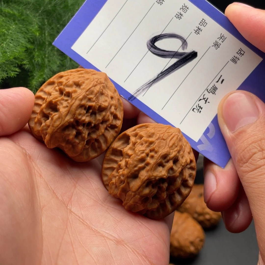 文玩核桃把件野狼38