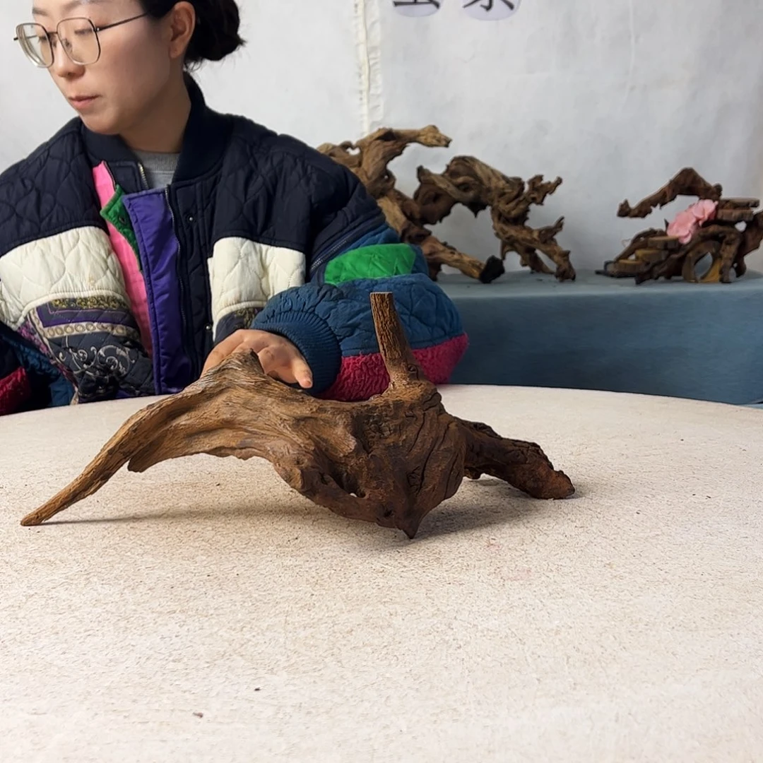 沉木造景爬宠造景