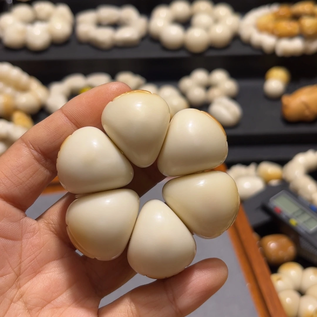 菩提根/象牙果吊坠有生长纹