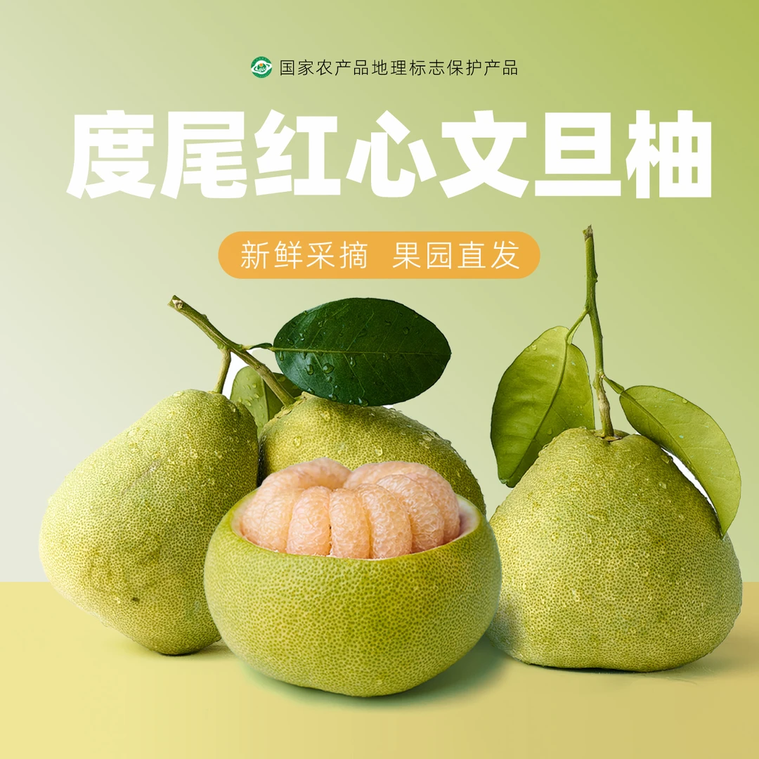 福建仙游度尾文旦柚清甜多汁孕妇当季新鲜水果现摘现发无孔蜜柚子