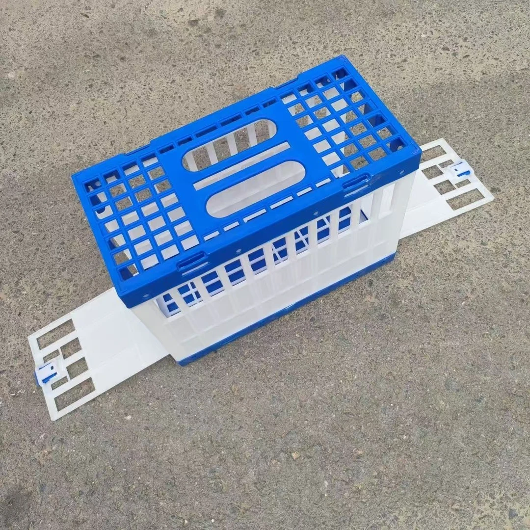 鸽子拼装报道笼可拼装不能折叠塑料鸽笼报道笼拼接笼鸽