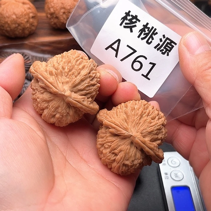 文玩核桃把件白狮子44+