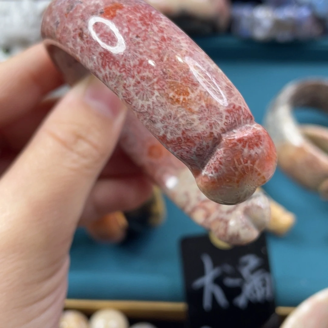 未镶嵌手镯硅化玉