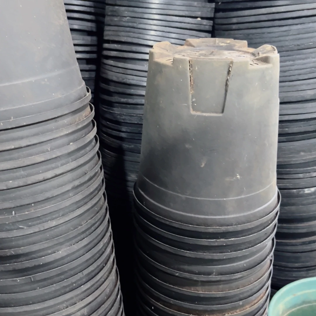 黑加仑盆18口径18高 10个