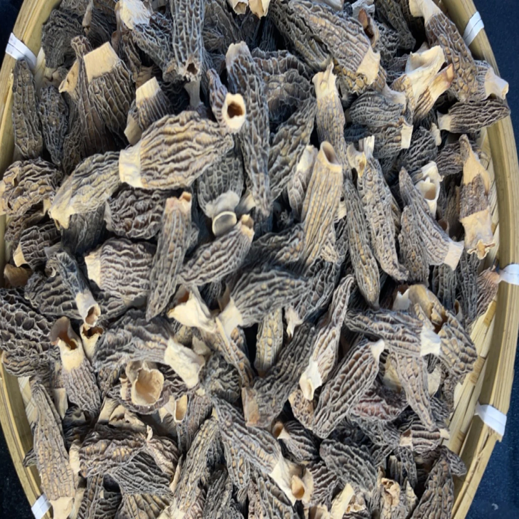 高山林下头茬厚肉羊肚菌干货