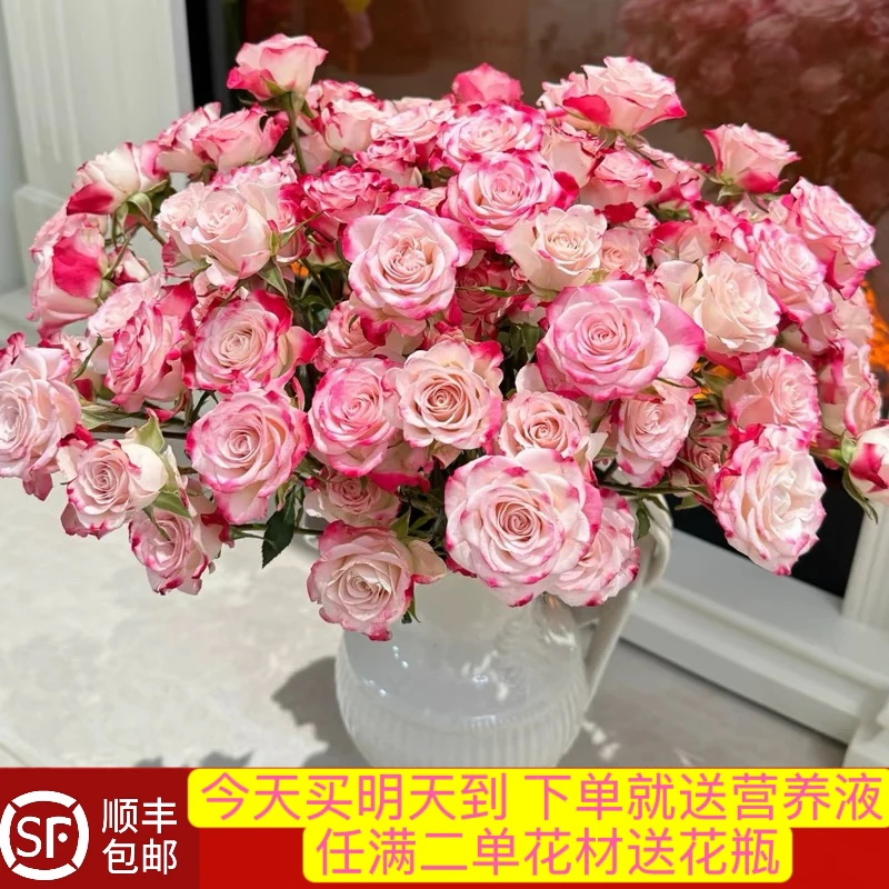 【10支40-50朵花折射泡泡鲜花多头玫瑰】家用生活鲜切花瓶插花 DIY 花束花材 顺丰包邮明天送花上门