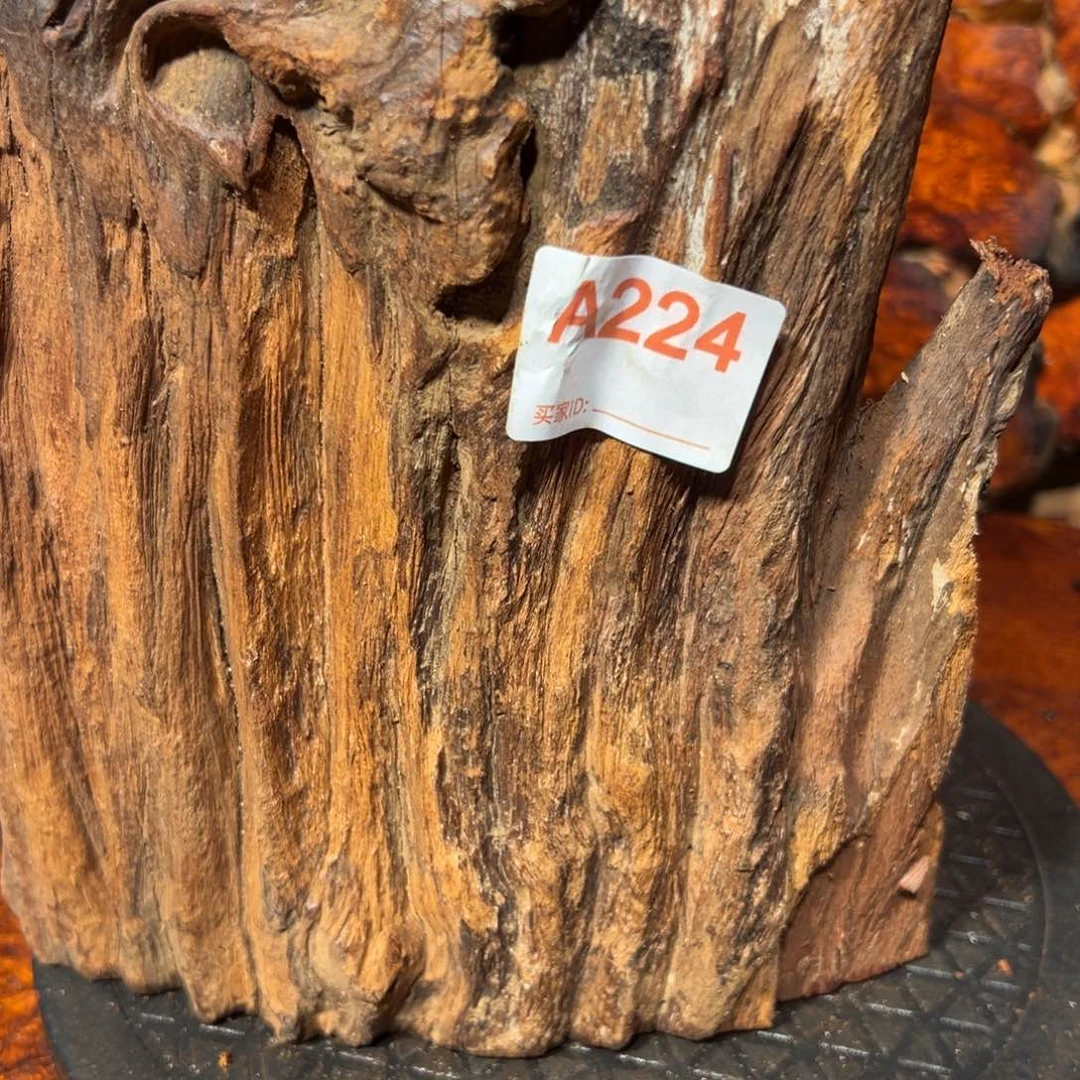 大果紫檀（缅甸花梨）?*?