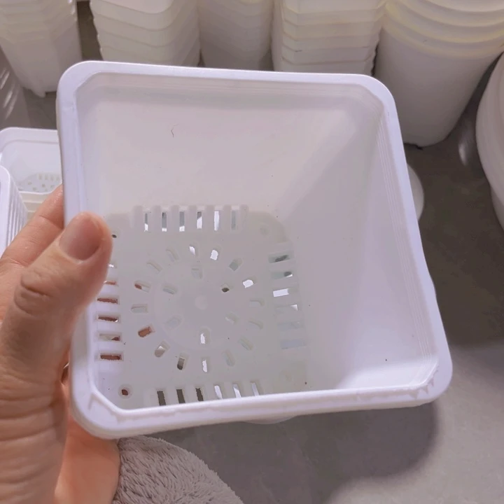 白方13高10一组10