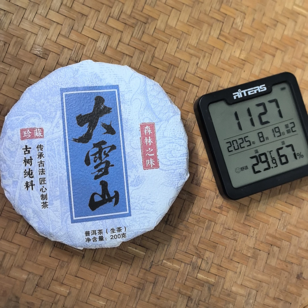 2024年大雪山森林之味古树纯料普洱生茶饼200克M208号8月19日