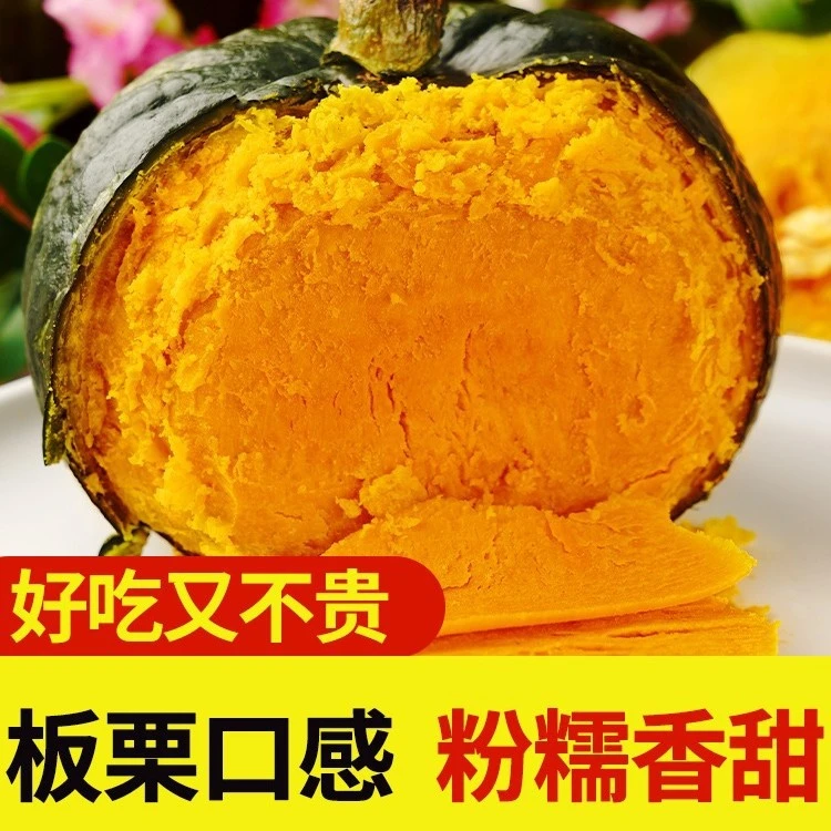 【优选】沙地贝贝南瓜粉糯香甜适合宝宝辅食