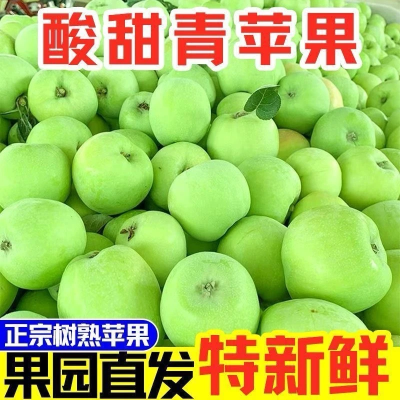 头茬现摘新鲜青苹果当季应季水果酸甜脆爽多汁正宗脆甜产地直发