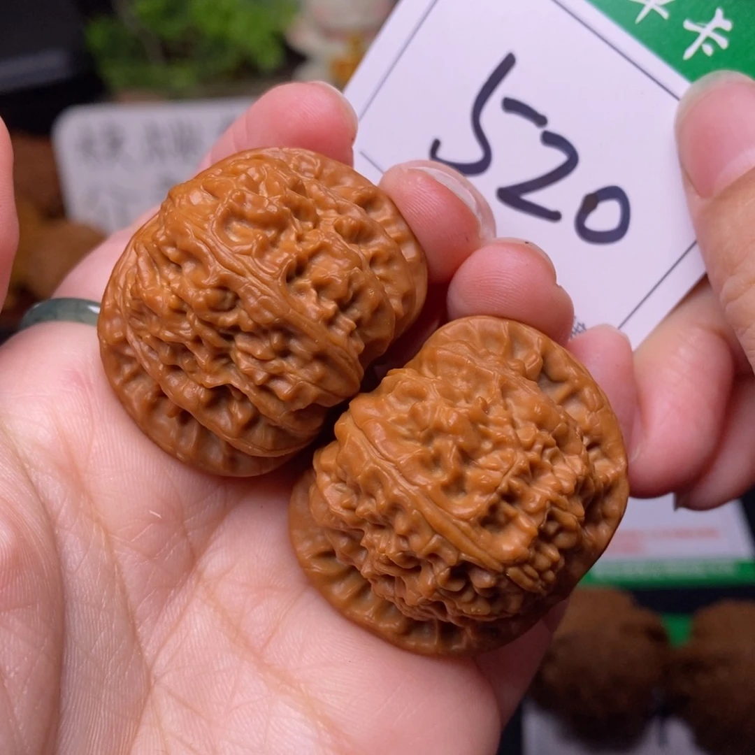 把件文玩核桃520白狮子3.8