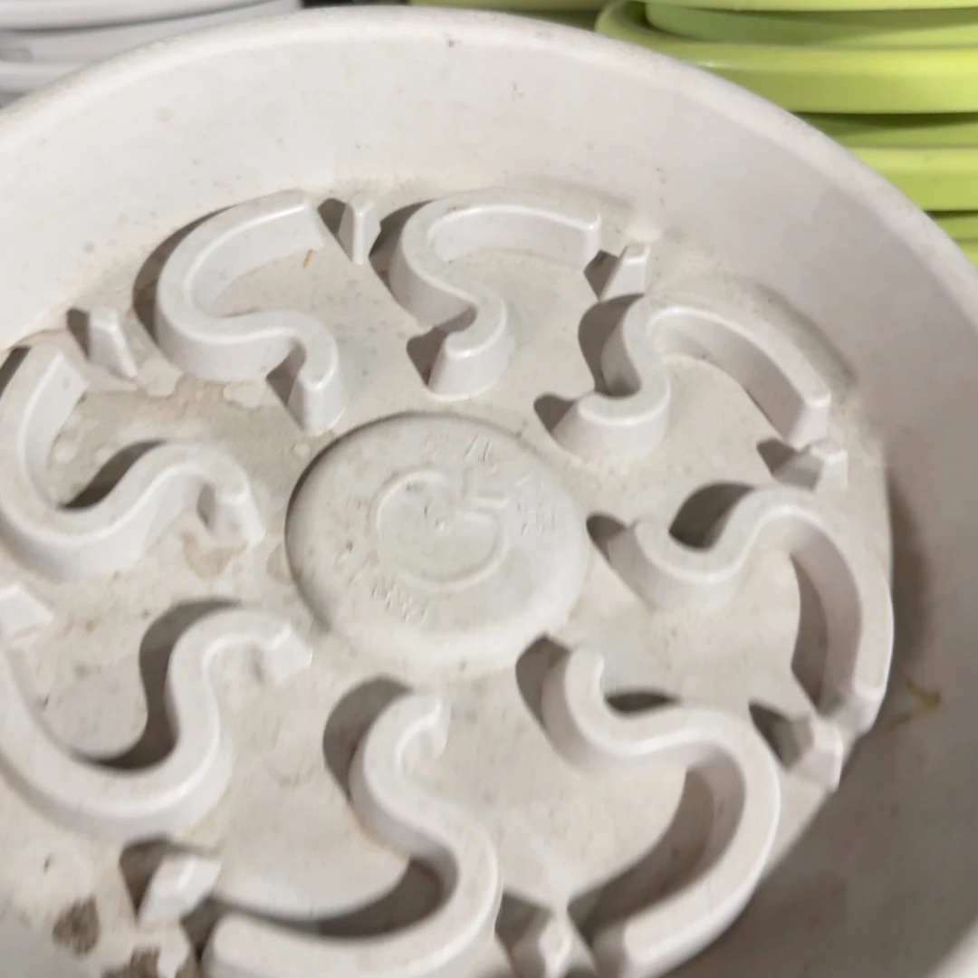 330灰白托盘托盘6个