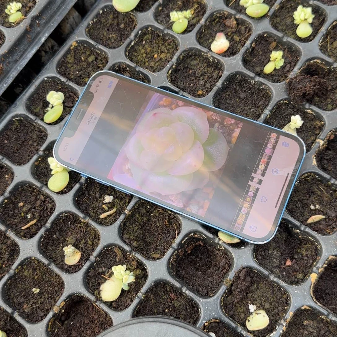 云䄂穴一个满25包邮