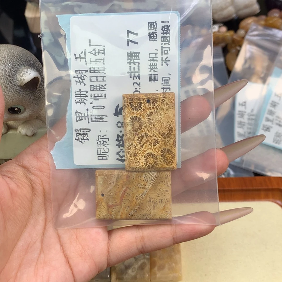 【闪购商品】颈饰未镶嵌硅化珊瑚（珊瑚玉）