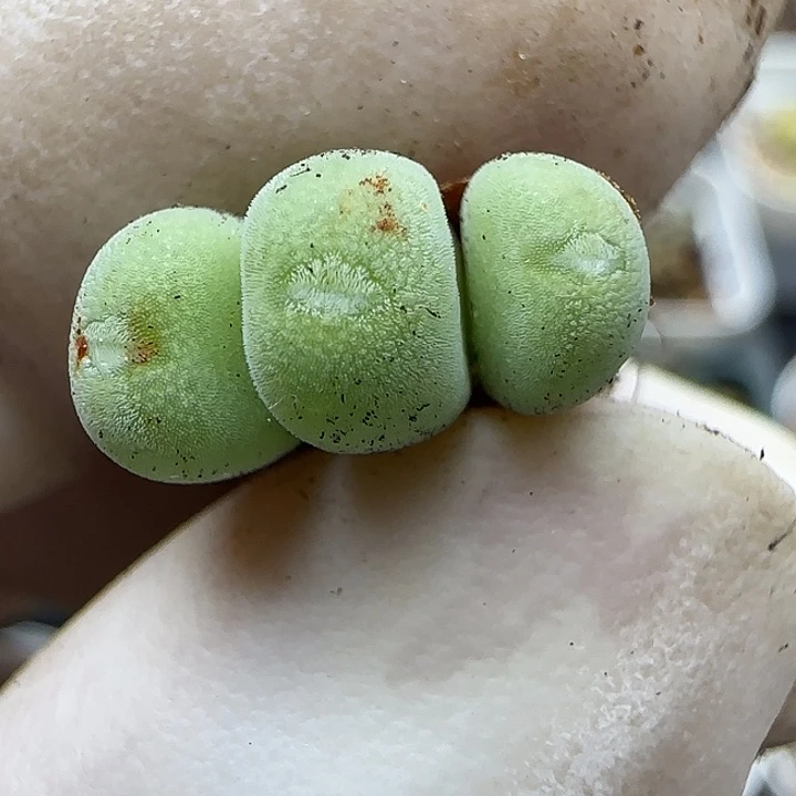 168福利福利福利福利