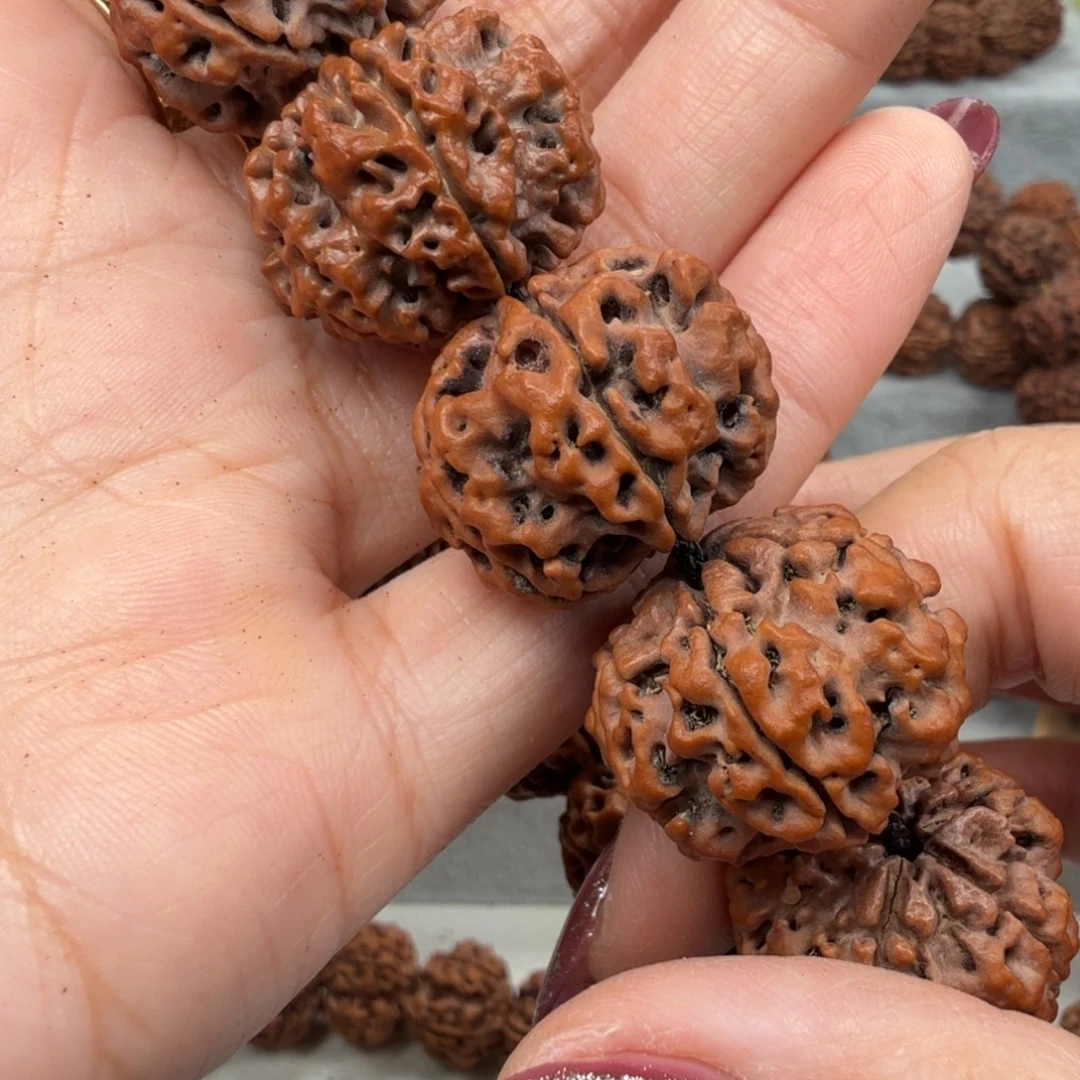 曹***金刚菩提手串古龙柴肉双龙