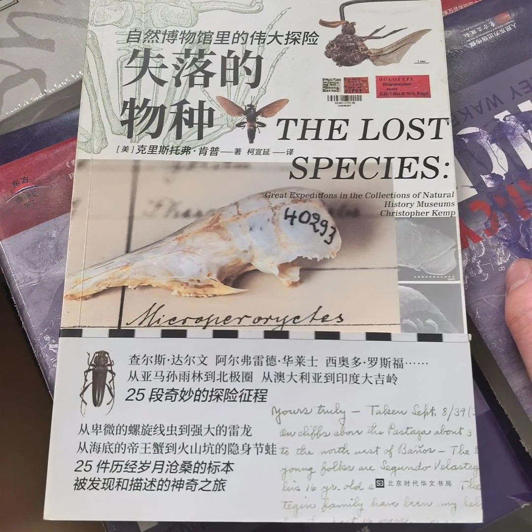 失落的物种塑封全新