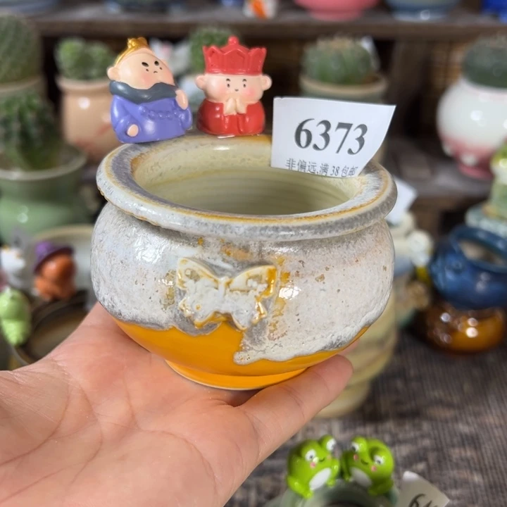 口6高5 。 活动价满30包邮