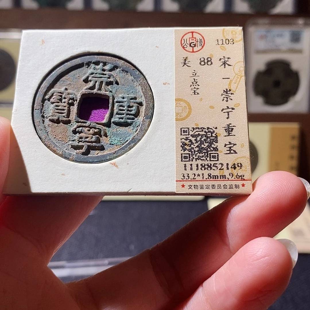 贝壳11 恭喜发财恭喜发财