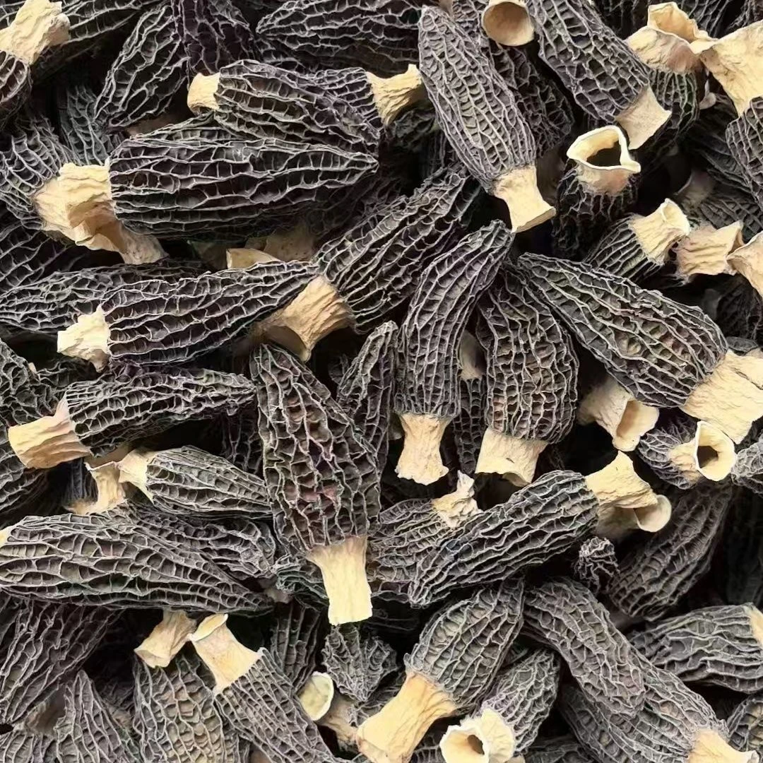 【绵绵代卖】云南头茬羊肚菌干货肉厚羊肚菌菌菇汤煲汤食材健康美味