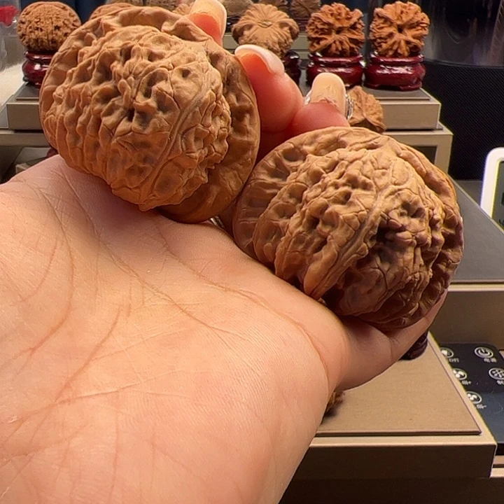 文玩核桃把件47 白狮子 s-004