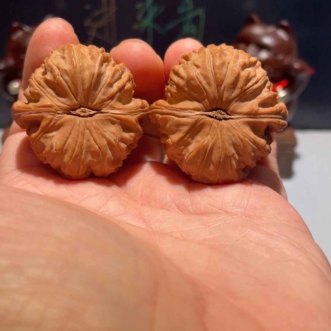 文玩核桃把件白狮子40微修