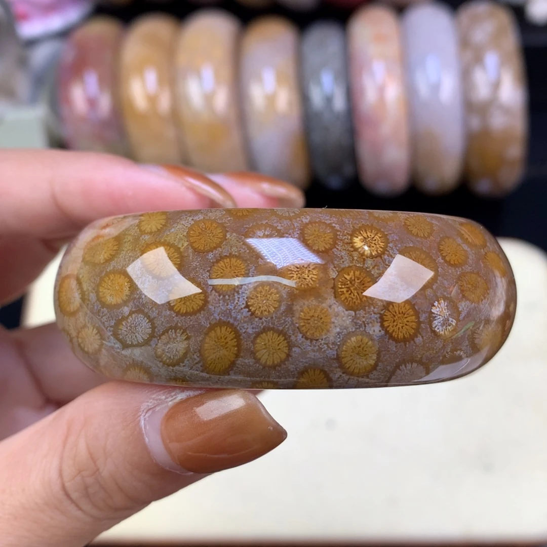 硅化珊瑚（珊瑚玉）未镶嵌颈饰上新镯饼可做52以下圈（38号）