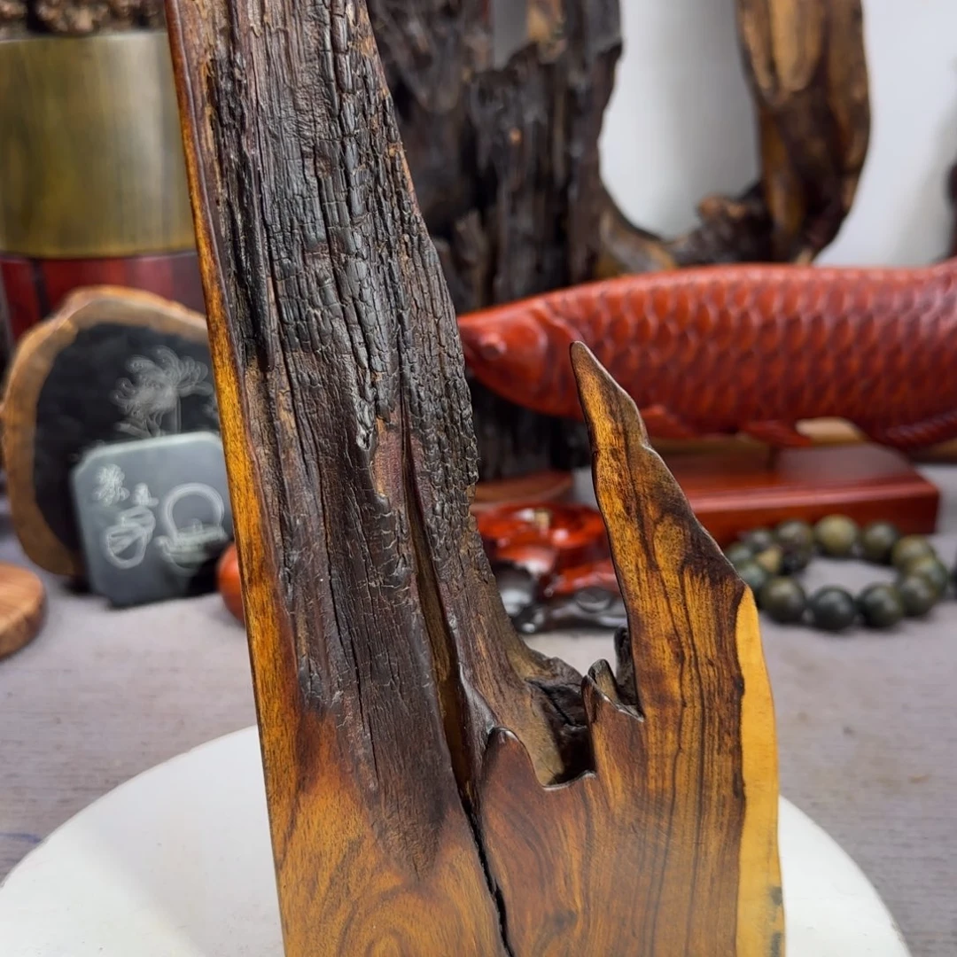 大果紫檀（缅甸花梨）魏*林