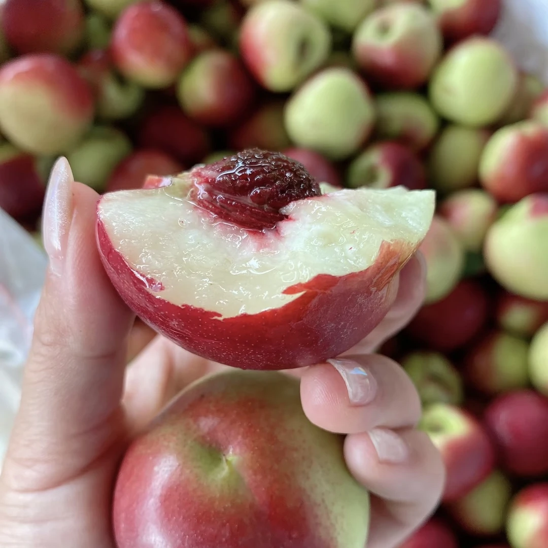 新疆【珍珠枣油桃】离核脆甜爽口新疆维吾尔自治区