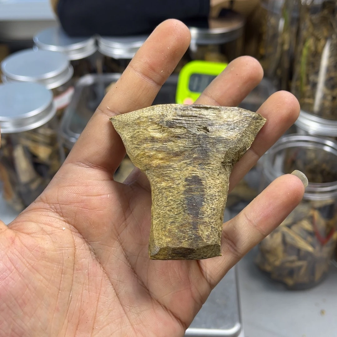 广***地沉香碎屑沉香000012