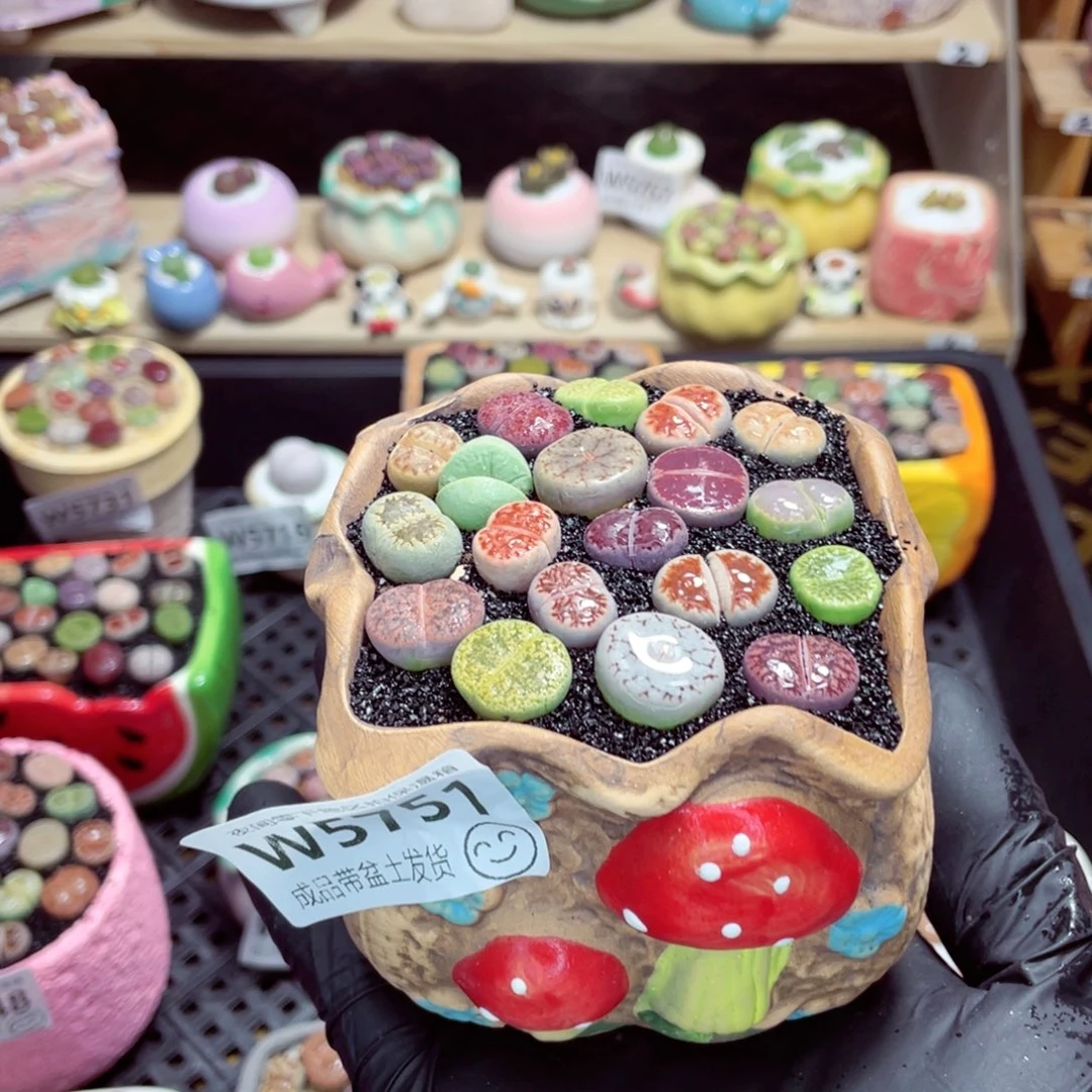 夜间零下地区拍保温箱w5751