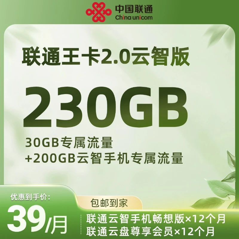 UNICOM/联通陕西咸阳【王卡云智版】39元230G超大流量