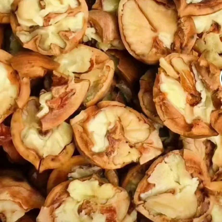 贵州黎平特产野生核桃新鲜山核桃侗乡美食炒核桃零食吃核桃