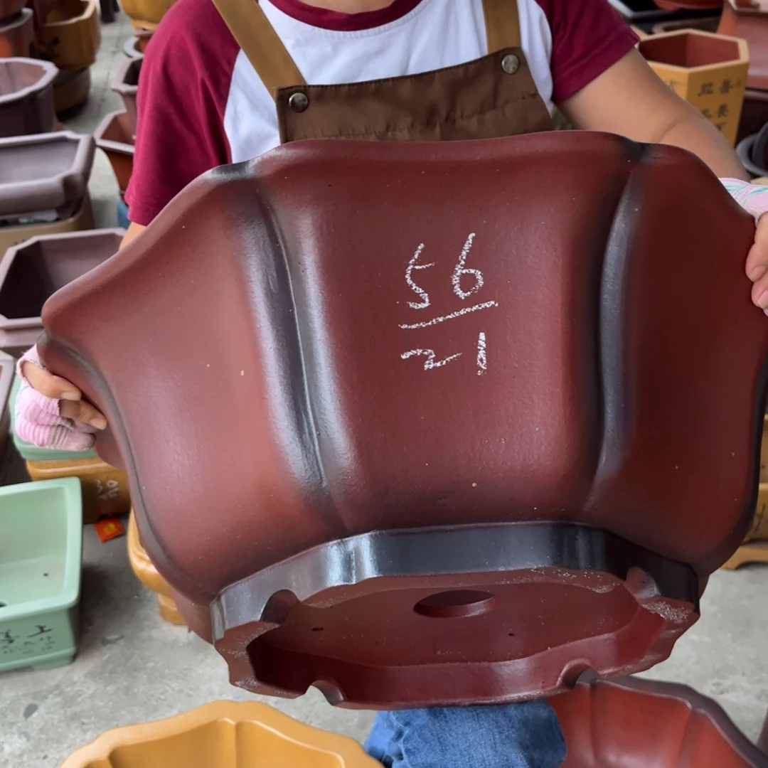 花盆紫砂盆景艺术