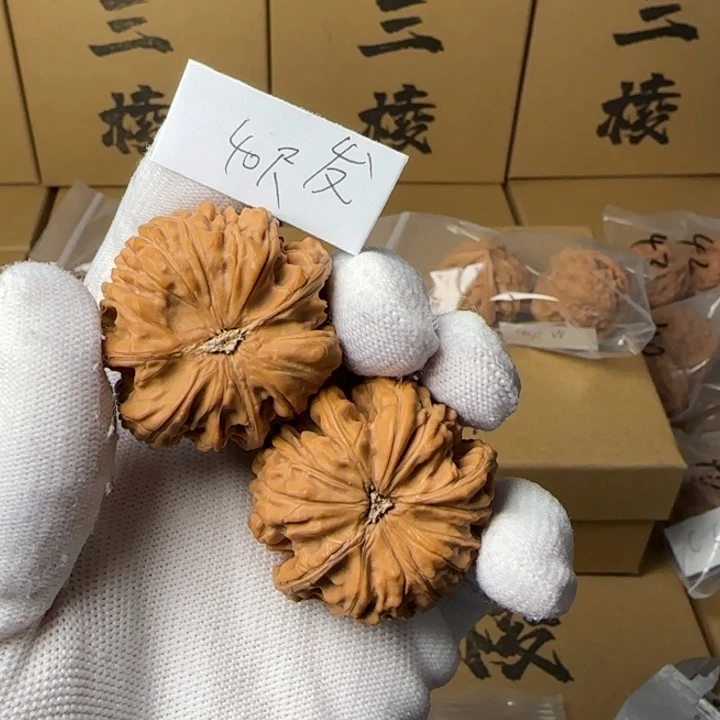 文玩核桃吊坠简单包装玉龙三棱