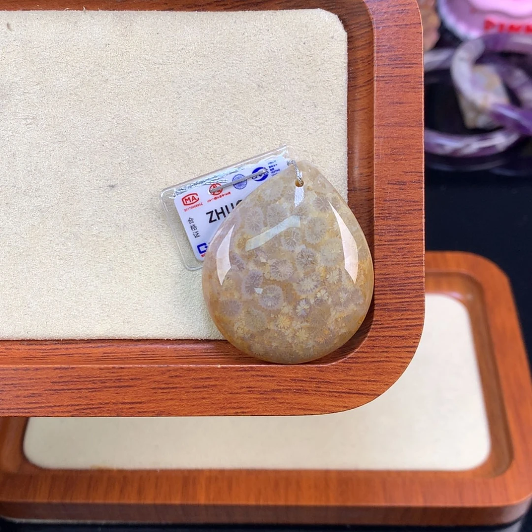 【闪购商品】颈饰未镶嵌硅化珊瑚（珊瑚玉）
