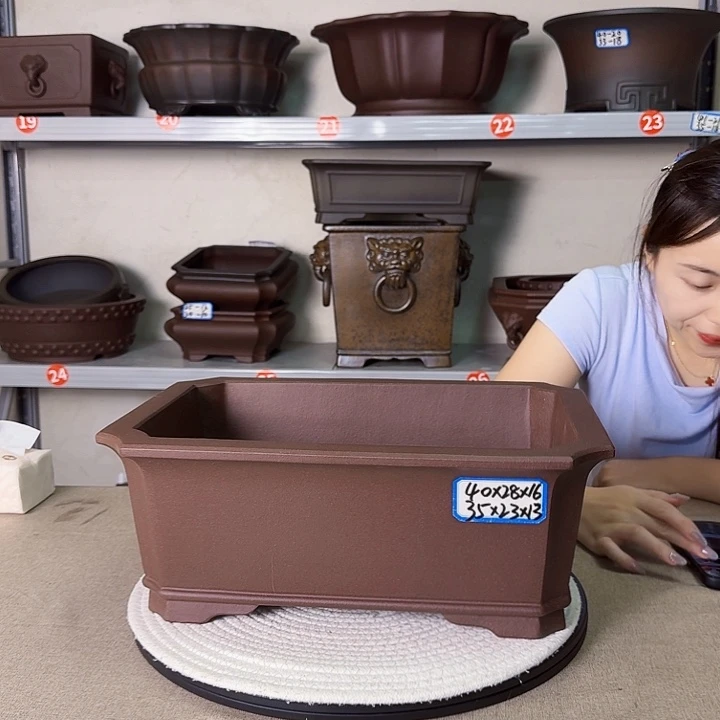 紫砂花瓶紫砂花开