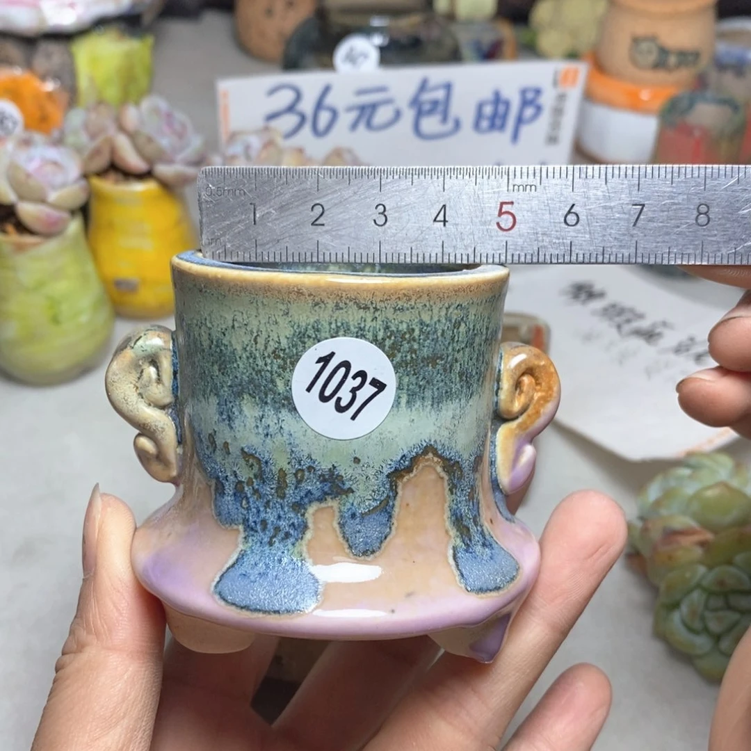 拍5送一个小礼物