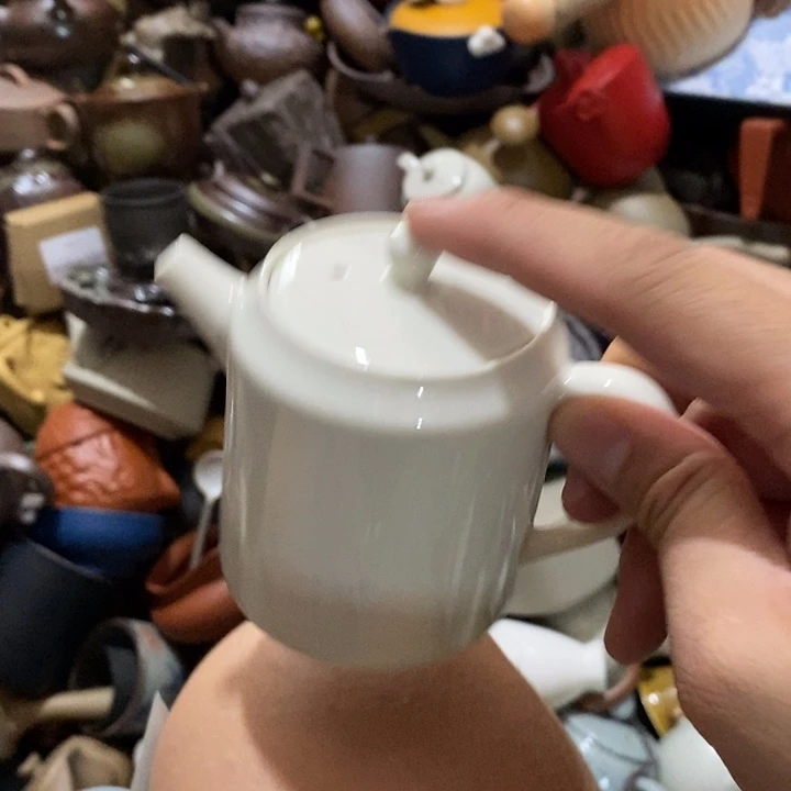 瓷片荷花绽放了美丽光彩熠熠星光