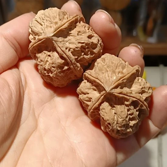 把件文玩核桃666666666666