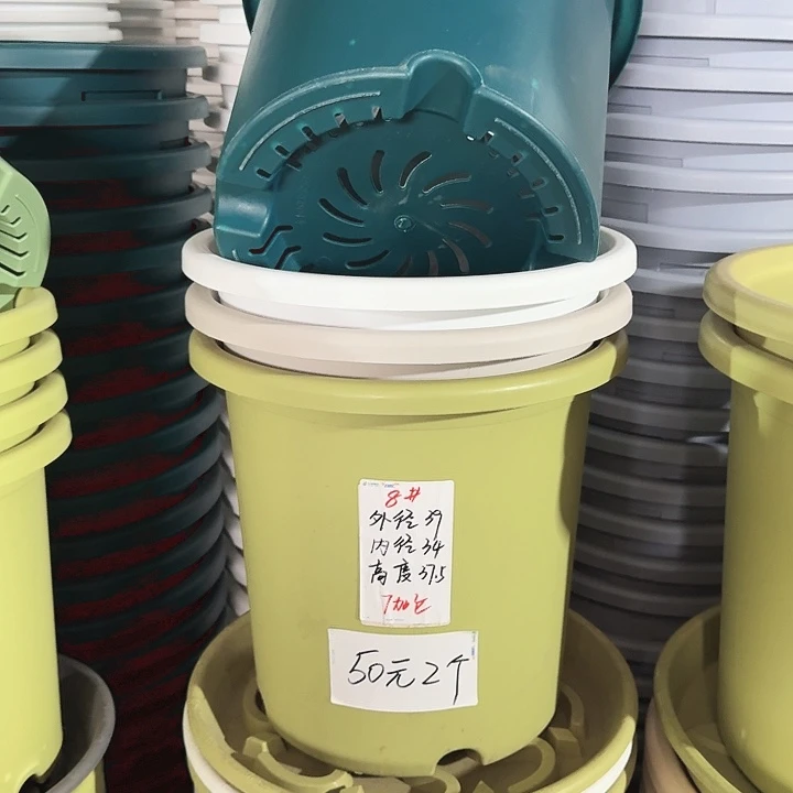 四季8#口径40无托果绿5个