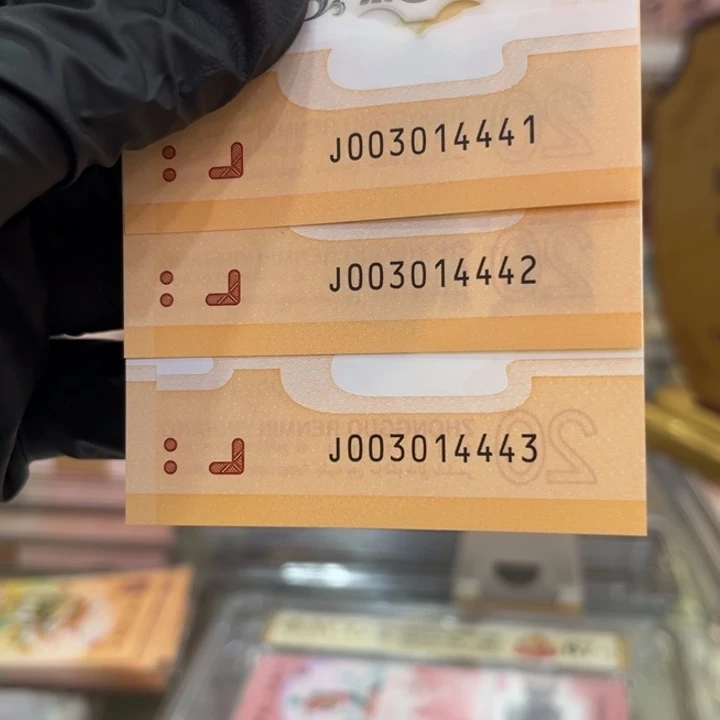 塑料龙钞中间豹全小号3张