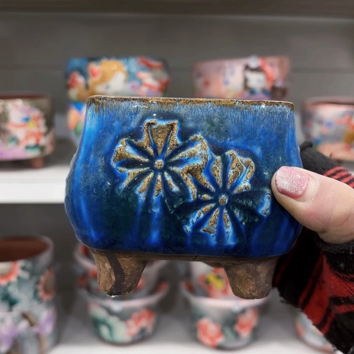 红陶苹*?补差价等方面也